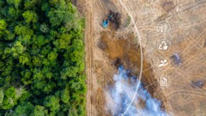 Biodiversity and the Corporate Sustainability Reporting Directive (CSRD)